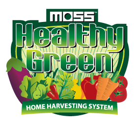 Moss Healthy Green