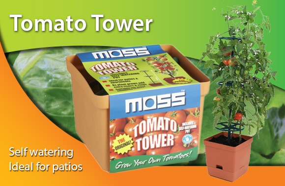 moss garden products moss garden products