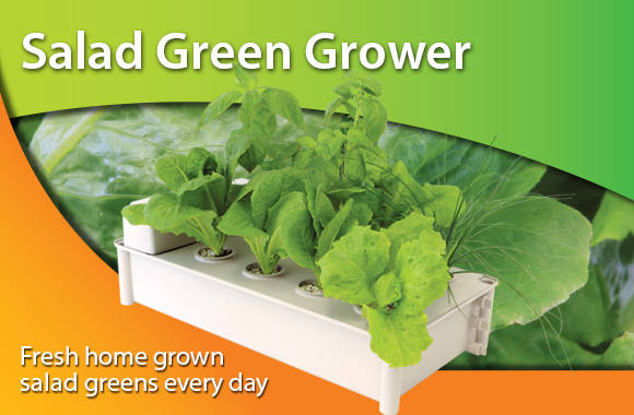 moss garden products moss garden products